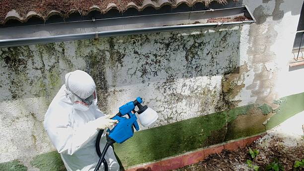 Top rated local Mold Removal specialists in Winfield, TN